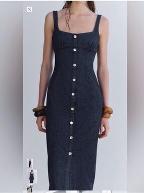 Zara Denim Maxi Dress